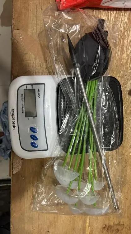 Solar LED Jellyfish Mushroom Lights for Garden -Outdoor Ground-Plug Lawn Lights - Loopni